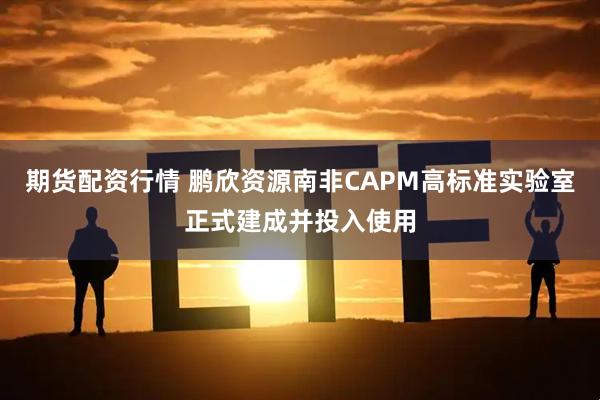 期货配资行情 鹏欣资源南非CAPM高标准实验室正式建成并投入使用