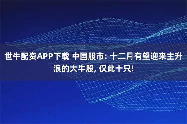 世牛配资APP下载 中国股市: 十二月有望迎来主升浪的大牛股, 仅此十只!
