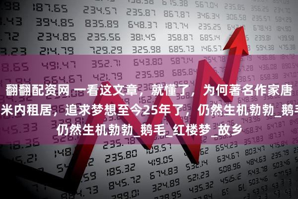 翻翻配资网 一看这文章,就懂了,为何著名作家唐国明,能在8平米内租居,追求梦想至今25年了,仍然生机勃勃_鹅毛_红楼梦_故乡